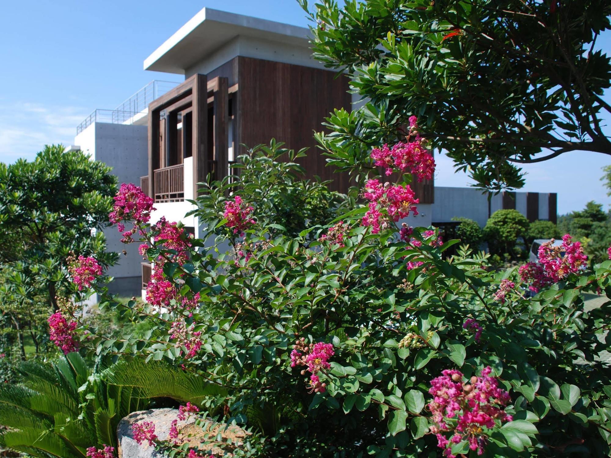 Jeju Eco Suites Seogwipo Eksteriør billede
