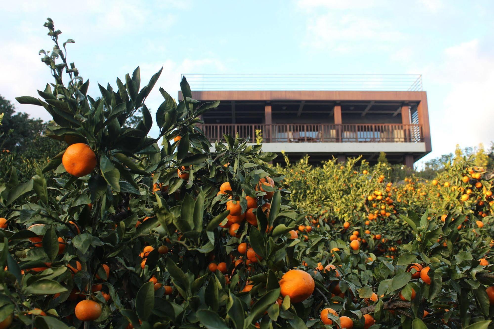 Jeju Eco Suites Seogwipo Eksteriør billede